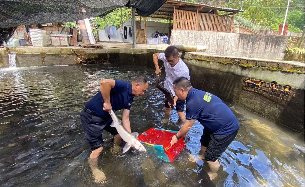 ladbrokes立博-英国公司官网